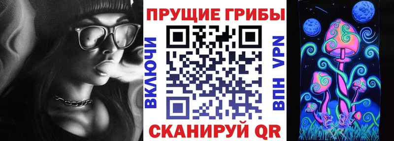 что такое   KRAKEN зеркало  Псилоцибиновые грибы ЛСД  Яблоновский 
